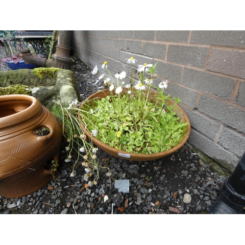 516 - Large terracotta garden planter.