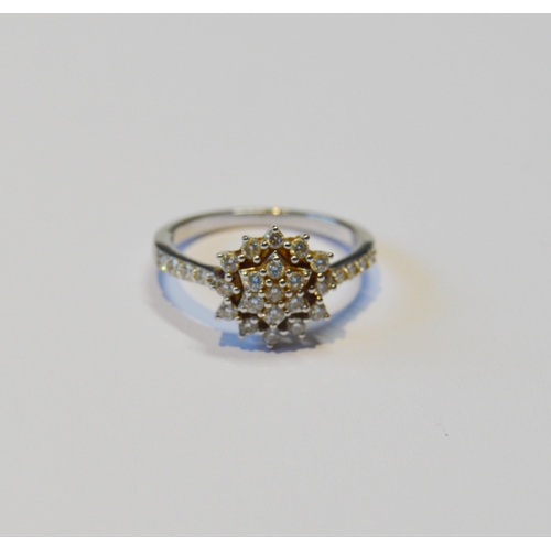 111 - Diamond ring with cluster and circle of small brilliants, in platinum, size L½, 4g gross.