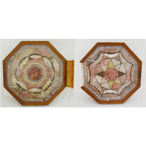 215 - Pair of early Victorian shell collages, enclosed in a glazed octagonal display case, 32cm x 31cm.