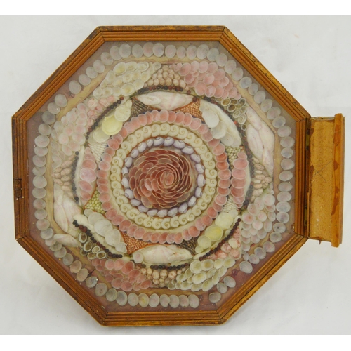 215 - Pair of early Victorian shell collages, enclosed in a glazed octagonal display case, 32cm x 31cm.