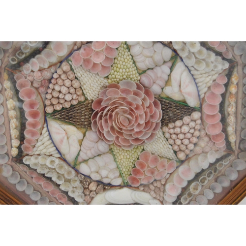 215 - Pair of early Victorian shell collages, enclosed in a glazed octagonal display case, 32cm x 31cm.