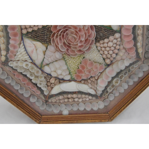 215 - Pair of early Victorian shell collages, enclosed in a glazed octagonal display case, 32cm x 31cm.