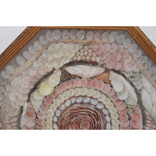 215 - Pair of early Victorian shell collages, enclosed in a glazed octagonal display case, 32cm x 31cm.