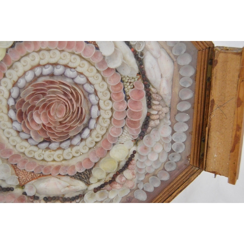 215 - Pair of early Victorian shell collages, enclosed in a glazed octagonal display case, 32cm x 31cm.