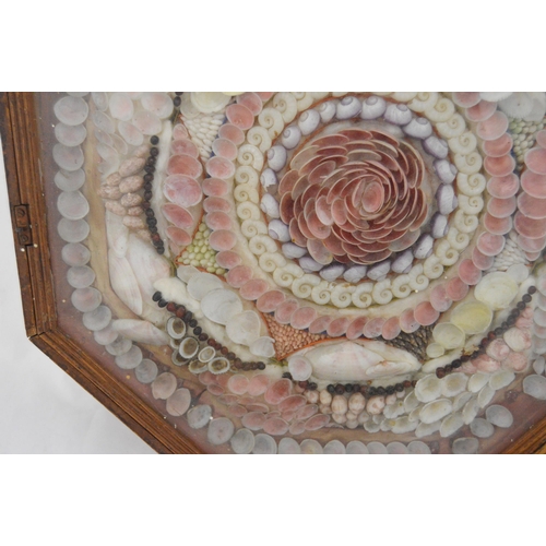 215 - Pair of early Victorian shell collages, enclosed in a glazed octagonal display case, 32cm x 31cm.