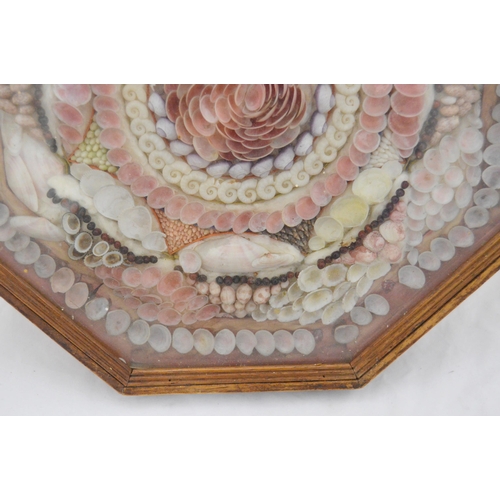 215 - Pair of early Victorian shell collages, enclosed in a glazed octagonal display case, 32cm x 31cm.