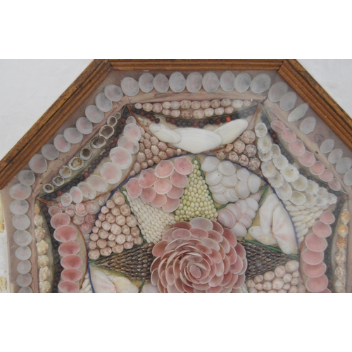 215 - Pair of early Victorian shell collages, enclosed in a glazed octagonal display case, 32cm x 31cm.