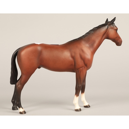 13 - Beswick bay mare with three white socks.