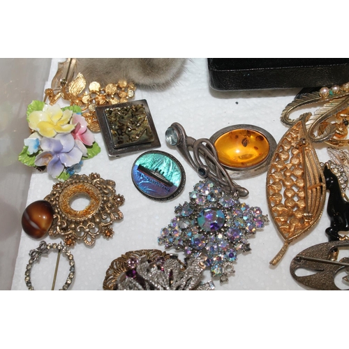 555 - Costume jewellery incl. TSS Transylvania butterfly brooch, Kit Heath silver brooch etc