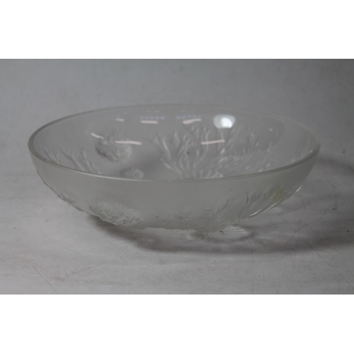 230 - Art Deco frosted glass bowl in the manner of Lalique with scalloped shell and coral decoration, 26cm... 