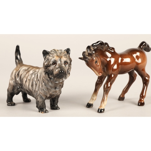 260 - Royal Doulton Cairn Terrier HN1033 and a Beswick foal