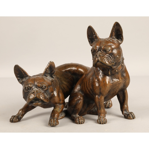 371 - Bronze figure of two French Bull dogs. 15cm at highest point