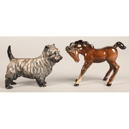 260 - Royal Doulton Cairn Terrier HN1033 and a Beswick foal