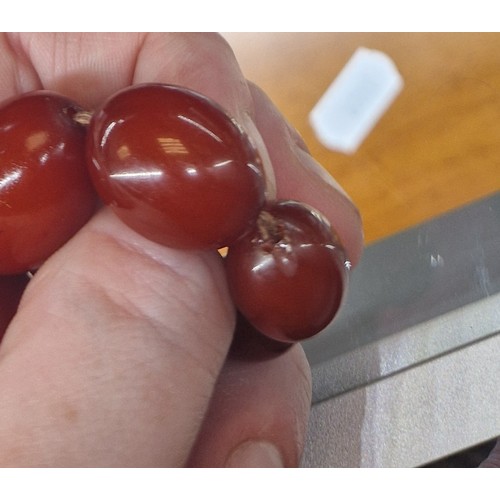 53 - Graduated string of cherry amber / resin bead necklace, approx. 53g