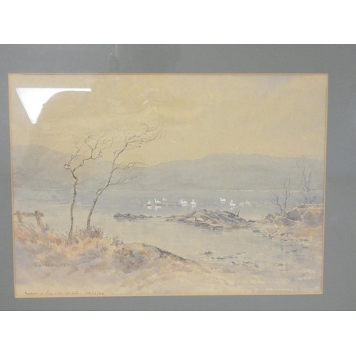 259 - Bernard Eyre Walker (1887-1972)Swans on Coniston Water.Watercolour.27cm x 37.5cmSigned to lower left... 