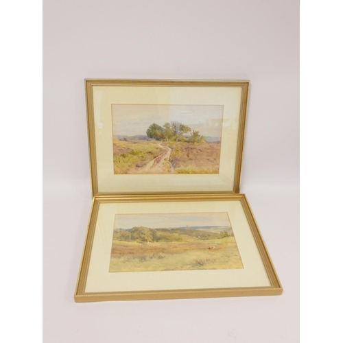 260 - William Eyre Walker (British 1847-1930)Blackdown Common Byfleet. Watercolour.23cm x 35cmsigned W.E.W... 