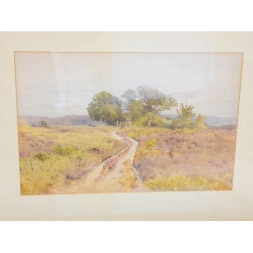 260 - William Eyre Walker (British 1847-1930)Blackdown Common Byfleet. Watercolour.23cm x 35cmsigned W.E.W... 