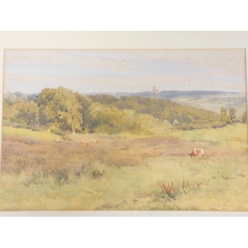 260 - William Eyre Walker (British 1847-1930)Blackdown Common Byfleet. Watercolour.23cm x 35cmsigned W.E.W... 