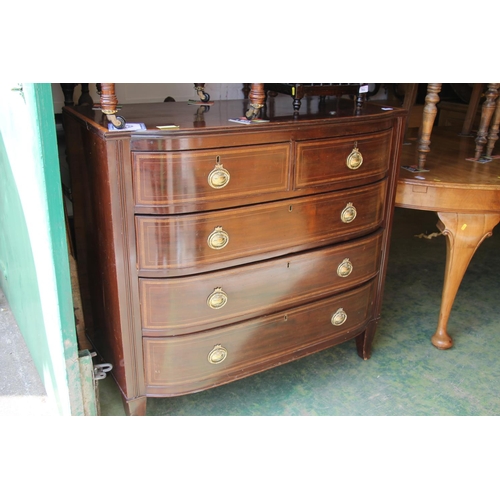 501 - Victorian mahogany bow fronted chest of two short over three long drawers, 102cm tall.