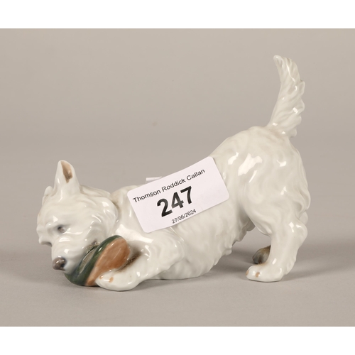 247 - Royal Copenhagen Dog with slipper No 3476