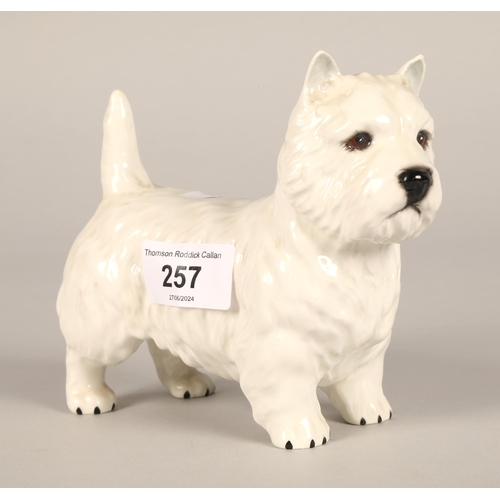 257 - Beswick model of a Scottie dog.