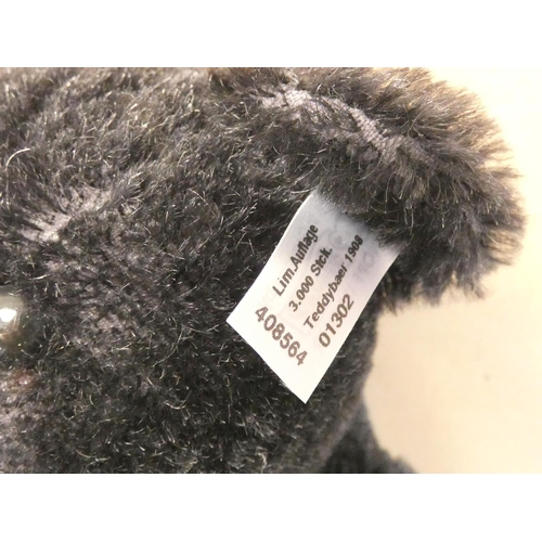 50 - Steiff. 1908 Replica Black Teddy Bear, 2008, white tag 408564, black mohair with tip growler. Comple... 