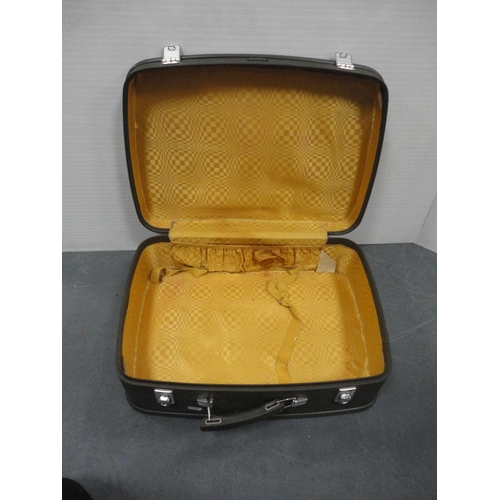 117 - Antler travel case and three other cases.  (4)