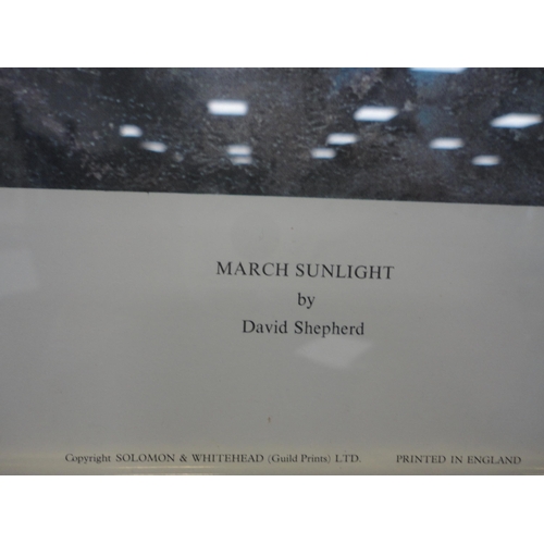 9 - Stella LambBotanical studyWatercolour, also a print after David Shepherd, 'March Sunlight'.  (2)... 
