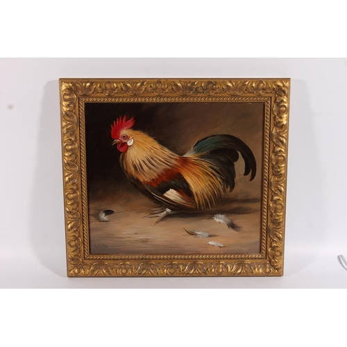 204 - EDWARD HASELL MCCOSH (b1949) *ARR* Gold Brahma Cock Oil painting on canvas, signed lower left, 35cm ... 