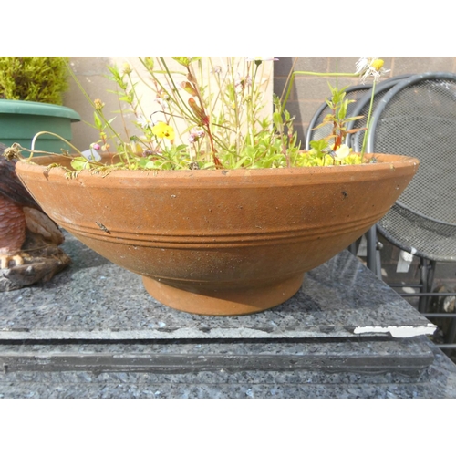 523 - Large terracotta garden planter. Width 30cm x Height 20cm