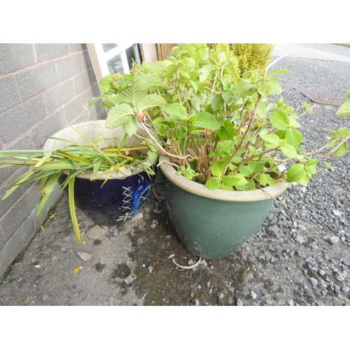 536 - Three glazed outdoor garden planters. 39cm x 30cm