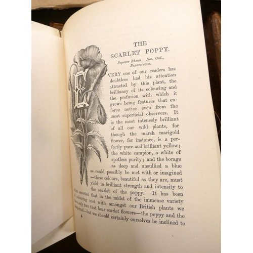 201 - HULME F. E.  Familiar Wild Flowers, 5 vols. & Familiar Garden Flowers, 5 vols. Each wi... 