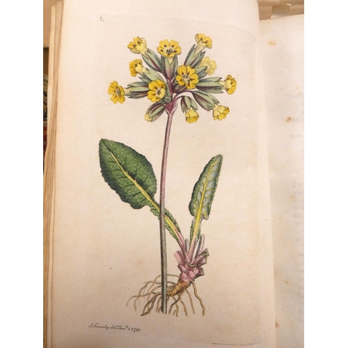 202 - SOWERBY JAMES.  English Botany or Coloured Figures of British Plants With Their Essential Characters... 