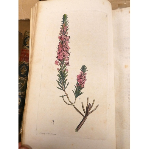 202 - SOWERBY JAMES.  English Botany or Coloured Figures of British Plants With Their Essential Characters... 