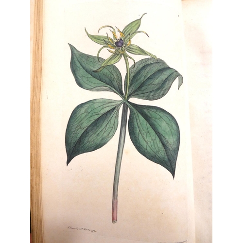 202 - SOWERBY JAMES.  English Botany or Coloured Figures of British Plants With Their Essential Characters... 