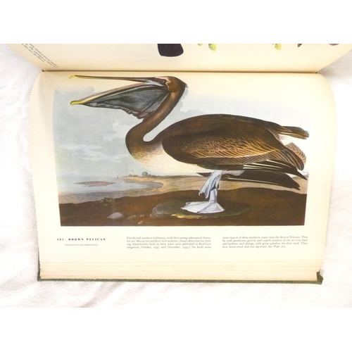 204 - AUDUBON J. J.  The Birds of America. Many col. plates. Folio. Orig. green cloth gilt. Macmillan &... 