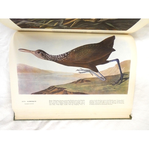 204 - AUDUBON J. J.  The Birds of America. Many col. plates. Folio. Orig. green cloth gilt. Macmillan &... 