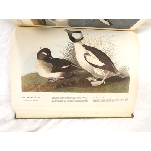 204 - AUDUBON J. J.  The Birds of America. Many col. plates. Folio. Orig. green cloth gilt. Macmillan &... 