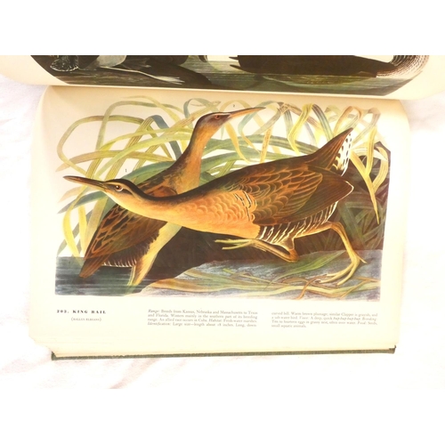 204 - AUDUBON J. J.  The Birds of America. Many col. plates. Folio. Orig. green cloth gilt. Macmillan &... 