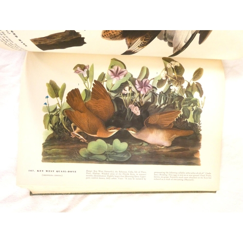 204 - AUDUBON J. J.  The Birds of America. Many col. plates. Folio. Orig. green cloth gilt. Macmillan &... 