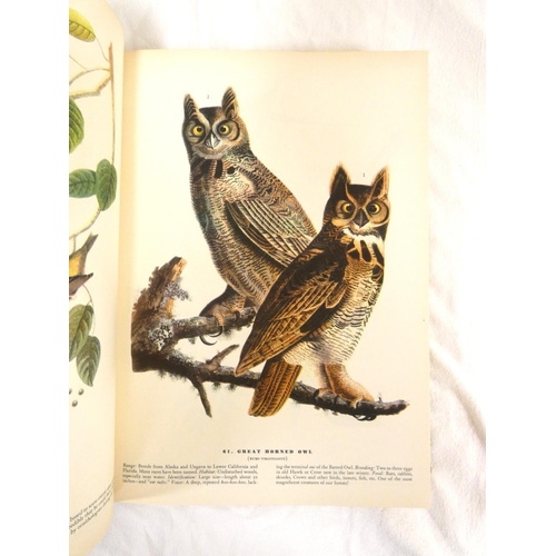 204 - AUDUBON J. J.  The Birds of America. Many col. plates. Folio. Orig. green cloth gilt. Macmillan &... 