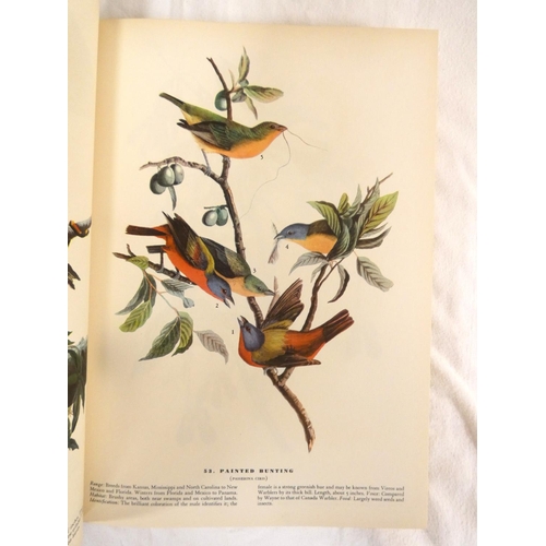 204 - AUDUBON J. J.  The Birds of America. Many col. plates. Folio. Orig. green cloth gilt. Macmillan &... 