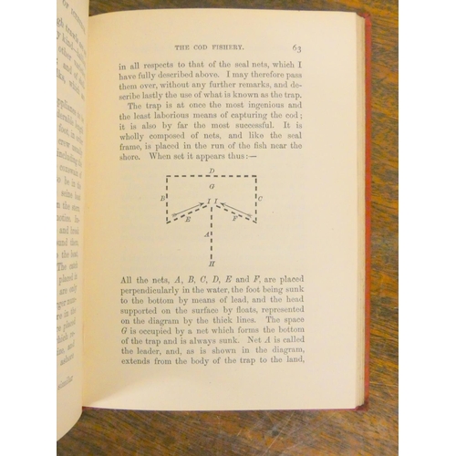 58 - LLOYD F. E. J.  Two Years in the Region of Icebergs & What I Saw There. Frontis. Publi... 