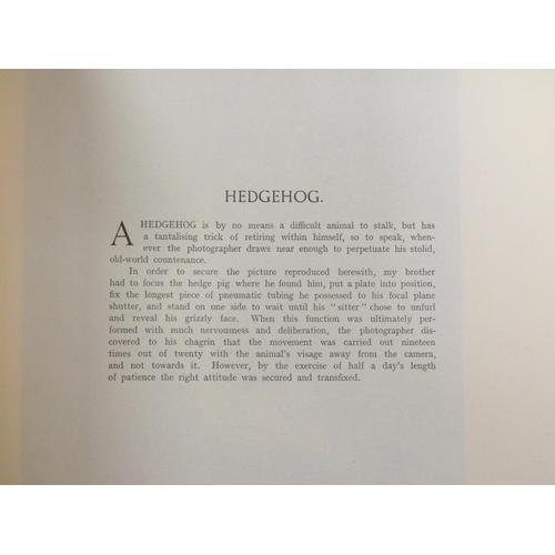 6 - Ornithology, Natural History & Angling.  A carton of various vols.