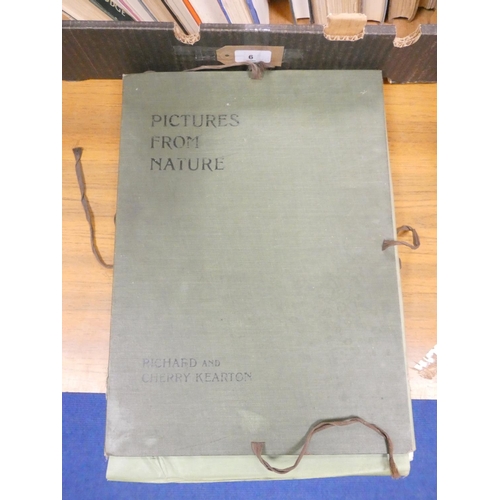 6 - <strong>Ornithology, Natural History & Angling.  </strong>A carton of various vols....