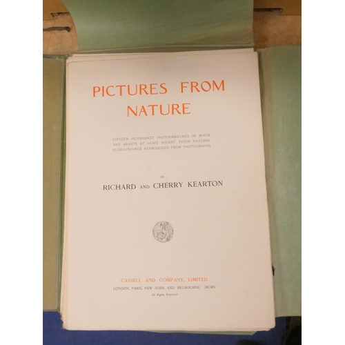 6 - Ornithology, Natural History & Angling.  A carton of various vols.