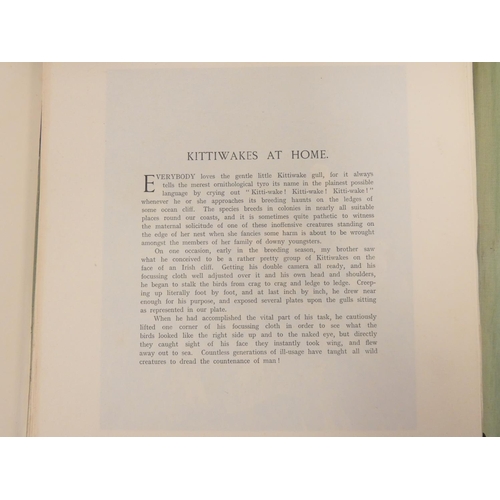 6 - <strong>Ornithology, Natural History & Angling.  </strong>A carton of various vols....