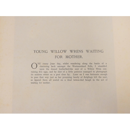 6 - <strong>Ornithology, Natural History & Angling.  </strong>A carton of various vols....