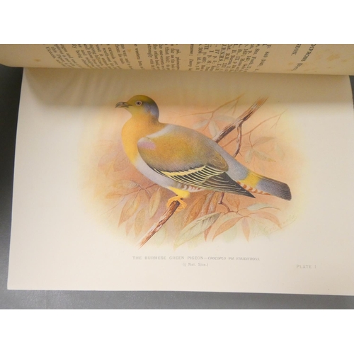 68 - STUART BAKER E. C.  Indian Pigeons & Doves. Chromolitho frontis & plates after Gro... 