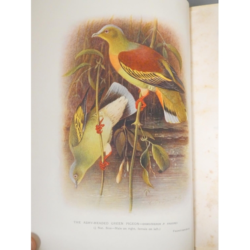 68 - STUART BAKER E. C.  Indian Pigeons & Doves. Chromolitho frontis & plates after Gro... 